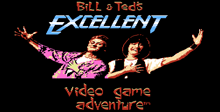 Bill & Ted's Excellent Video Game Adventure