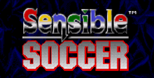 Sensible Soccer: European Champions