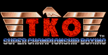 TKO Super Championship Boxing