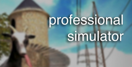 Professional Simulator Games