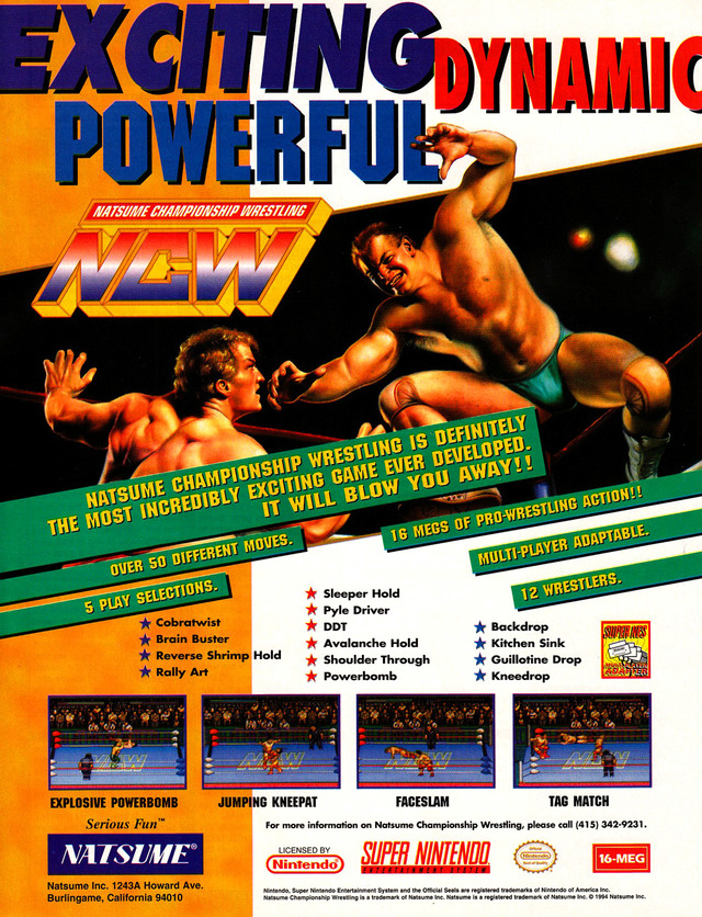 Natsume Championship Wrestling Natsume Championship Wrestling Poster