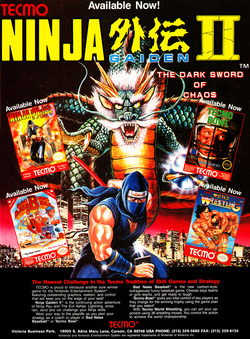 Ninja Gaiden 2: The Dark Sword of Chaos Poster