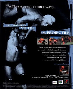 WCW Mayhem Poster