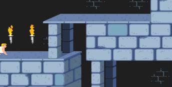 Prince Of Persia Amiga Screenshot