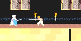 Prince Of Persia Amiga Screenshot