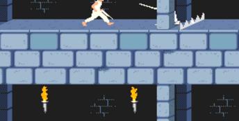 Prince Of Persia Amiga Screenshot
