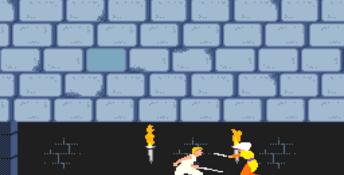 Prince Of Persia Amiga Screenshot