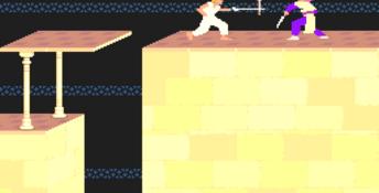 Prince Of Persia Amiga Screenshot
