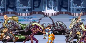 Alien Vs Predator