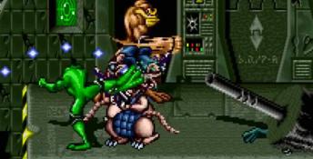 Battletoads