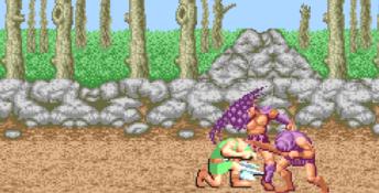 Golden Axe Arcade Screenshot