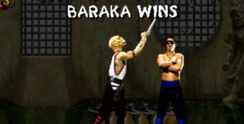Mortal Kombat 2 Arcade Screenshot