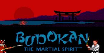 Budokan: The Martial Spirit DOS Screenshot