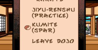 Budokan: The Martial Spirit