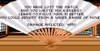 Budokan: The Martial Spirit DOS Screenshot