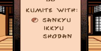 Budokan: The Martial Spirit DOS Screenshot
