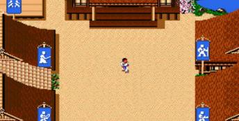 Budokan: The Martial Spirit DOS Screenshot