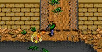 It Came From The Desert DOS Screenshot