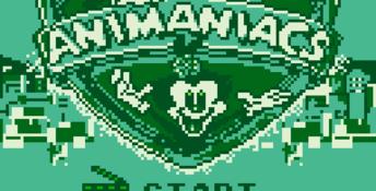 Animaniacs Gameboy Screenshot