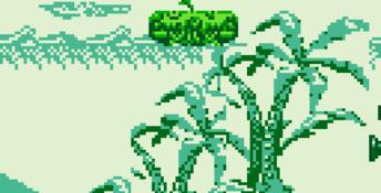 Animaniacs Gameboy Screenshot