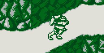 Battletoads Gameboy Screenshot