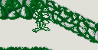 Battletoads Gameboy Screenshot