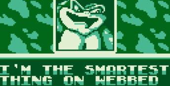 Battletoads & Double Dragon: The Ultimate Team Gameboy Screenshot