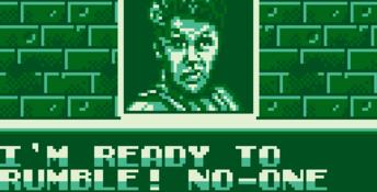 Battletoads & Double Dragon: The Ultimate Team Gameboy Screenshot