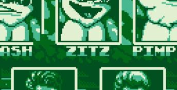 Battletoads & Double Dragon: The Ultimate Team Gameboy Screenshot