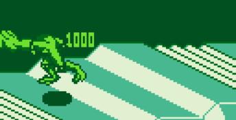 Battletoads & Double Dragon: The Ultimate Team Gameboy Screenshot