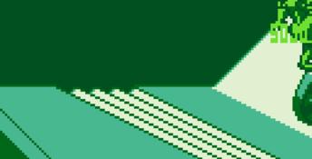 Battletoads & Double Dragon: The Ultimate Team Gameboy Screenshot