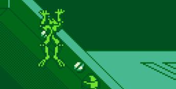 Battletoads & Double Dragon: The Ultimate Team Gameboy Screenshot