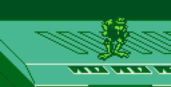 Battletoads & Double Dragon: The Ultimate Team Gameboy Screenshot