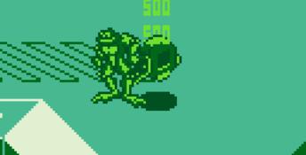 Battletoads & Double Dragon: The Ultimate Team Gameboy Screenshot