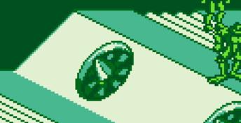 Battletoads & Double Dragon: The Ultimate Team Gameboy Screenshot
