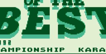 Best of the Best: Championship Karate Gameboy Screenshot