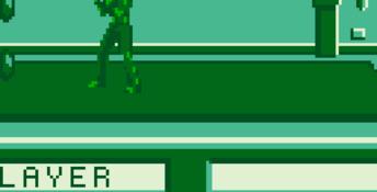 Best of the Best: Championship Karate Gameboy Screenshot