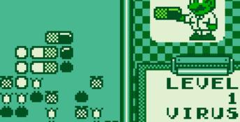 Dr. Mario Gameboy Screenshot