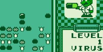 Dr. Mario Gameboy Screenshot