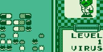 Dr. Mario Gameboy Screenshot