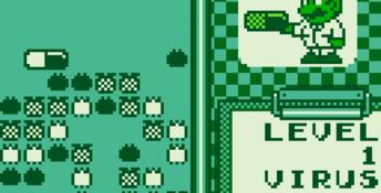 Dr. Mario Gameboy Screenshot