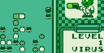 Dr. Mario Gameboy Screenshot