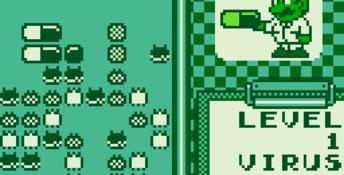Dr. Mario Gameboy Screenshot