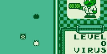 Dr. Mario Gameboy Screenshot
