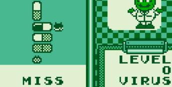 Dr. Mario Gameboy Screenshot