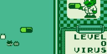 Dr. Mario Gameboy Screenshot