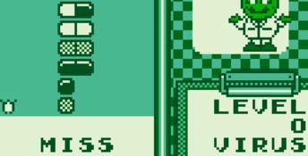 Dr. Mario Gameboy Screenshot