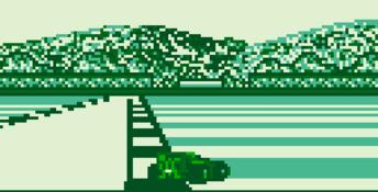 F1 Pole Position Gameboy Screenshot