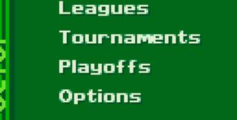 FIFA Soccer 96 Gameboy Screenshot
