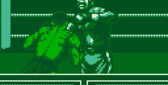 Foreman for Real Gameboy Screenshot